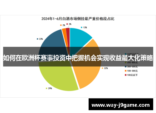 如何在欧洲杯赛事投资中把握机会实现收益最大化策略