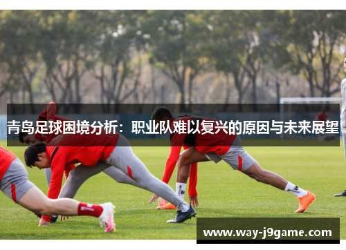 青岛足球困境分析：职业队难以复兴的原因与未来展望