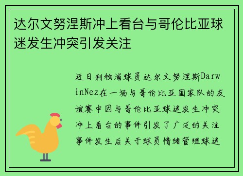 达尔文努涅斯冲上看台与哥伦比亚球迷发生冲突引发关注 达尔文努涅斯冲上看台与哥伦比亚球迷发生冲突引发关注