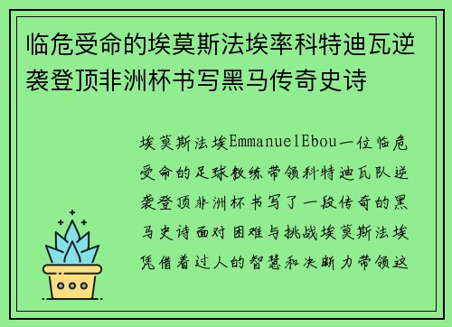 临危受命的埃莫斯法埃率科特迪瓦逆袭登顶非洲杯书写黑马传奇史诗