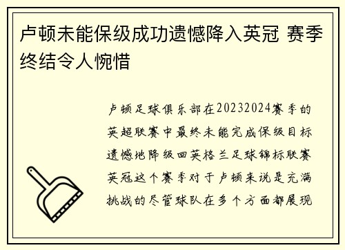 卢顿未能保级成功遗憾降入英冠 赛季终结令人惋惜 卢顿未能保级成功遗憾降入英冠 赛季终结令人惋惜